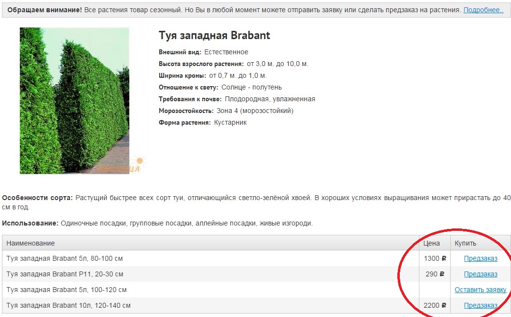 карточка товара